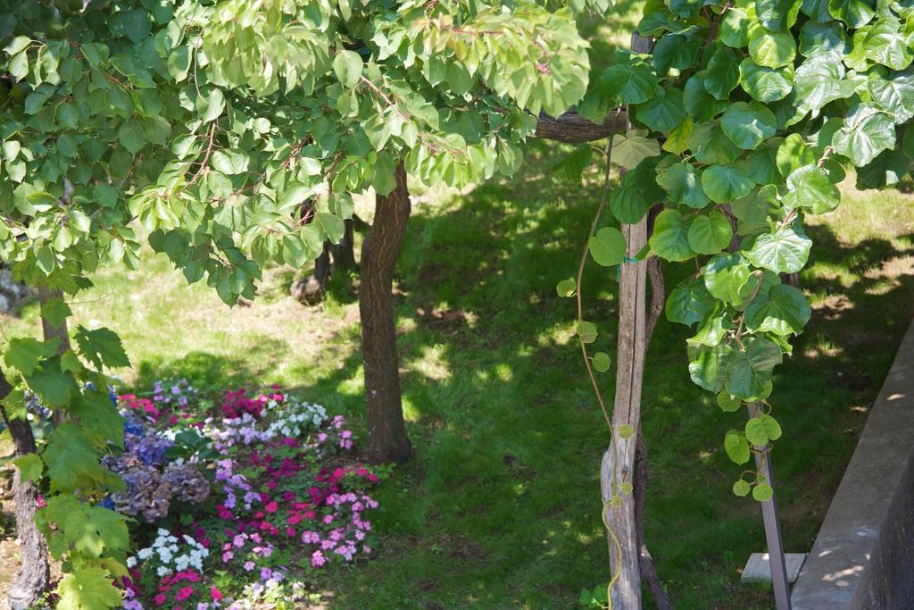 Portico Del Paradiso Скала Екстериор снимка